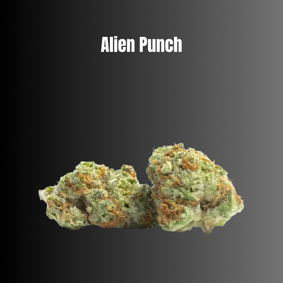 Alien Punch - Premium Hybrid Flower | Kannavis Botanicals